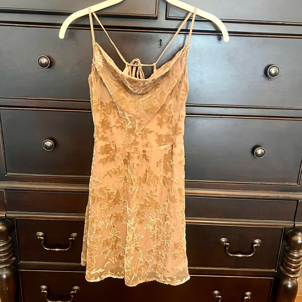 Le Lis Tan Dress